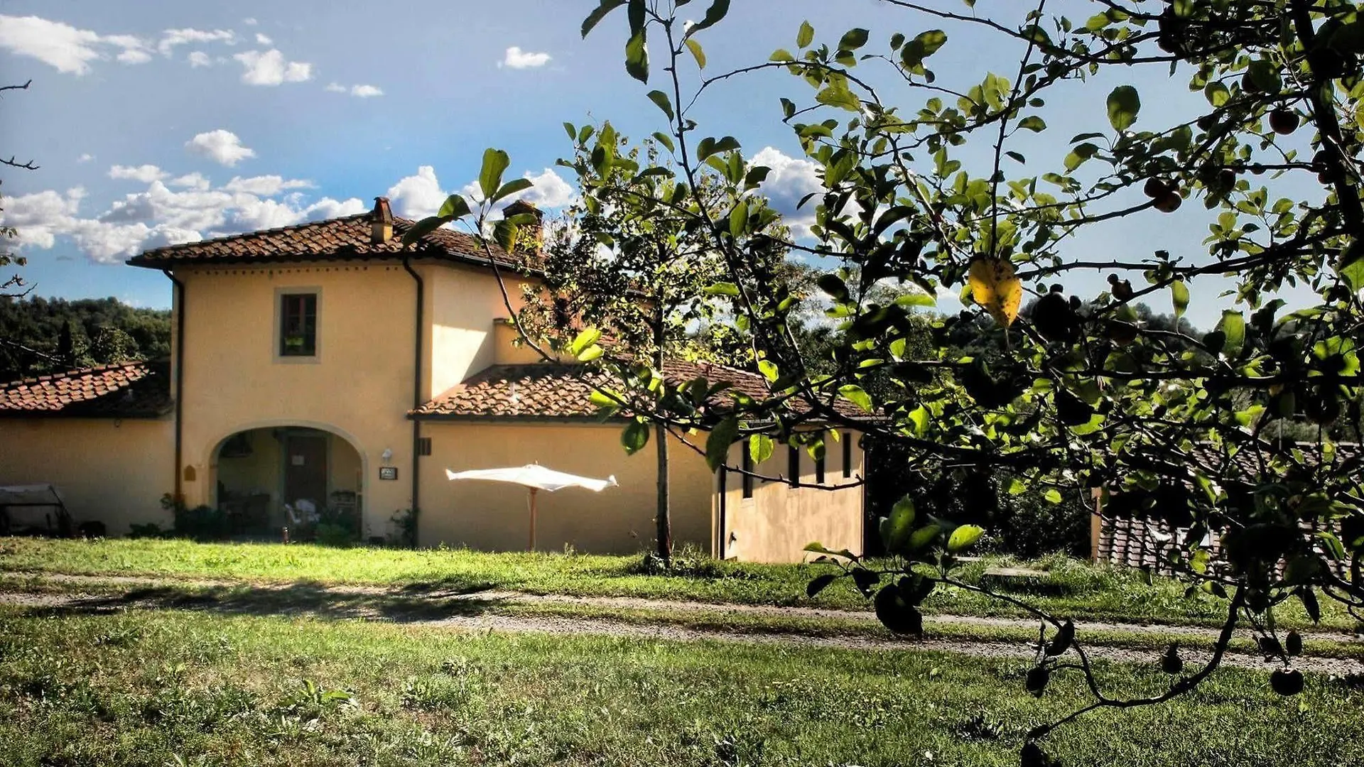 Serendipity House B&B Penna
