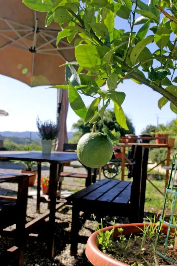 Bed & Breakfast Serendipity House B&B Penna